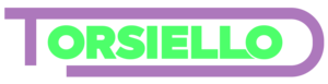 torsielloconstruction.com